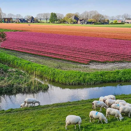 Lovely In With Wifi Ferienhaus Wijdenes